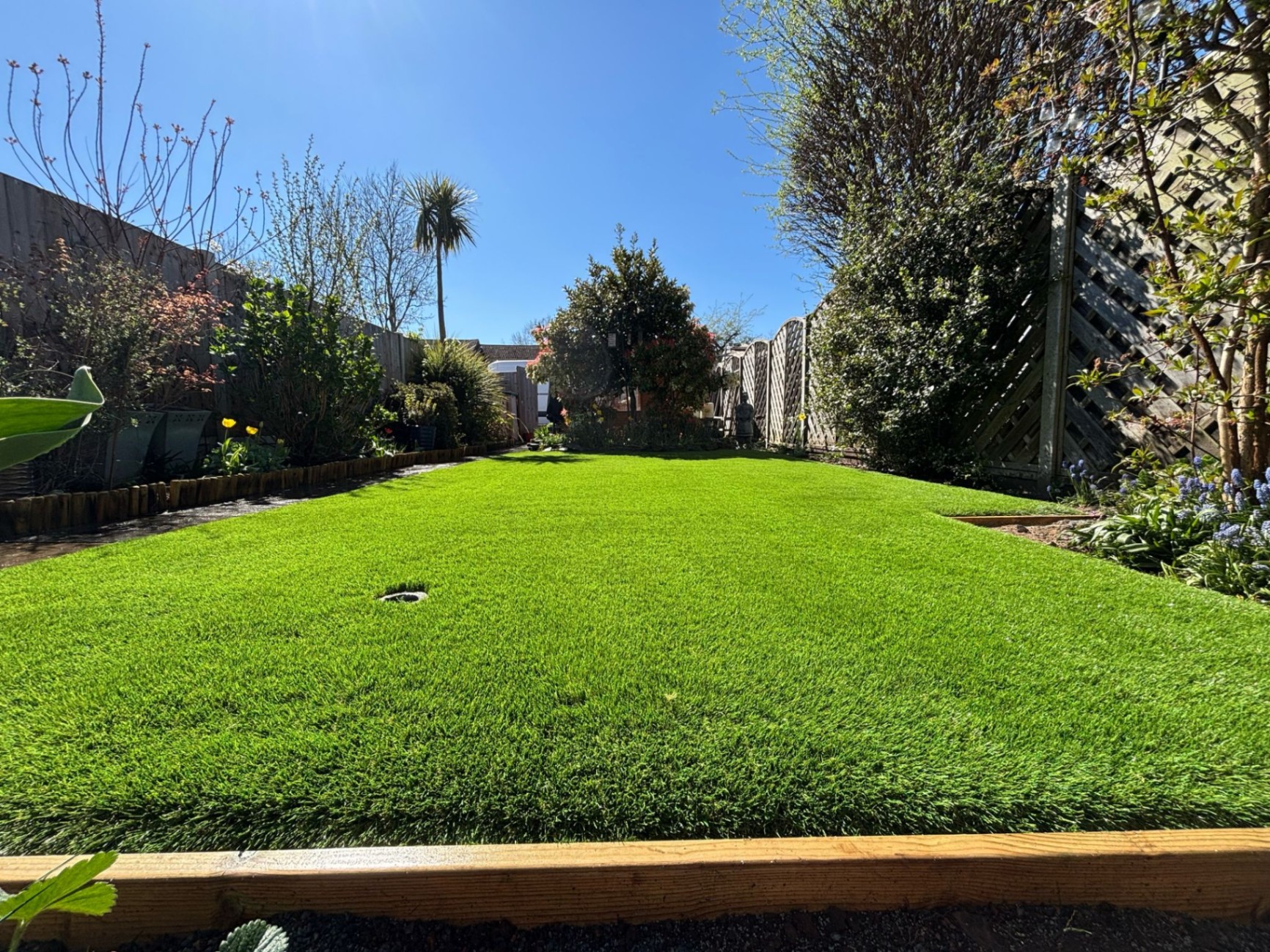 Mature garden with raised beds in Ilford