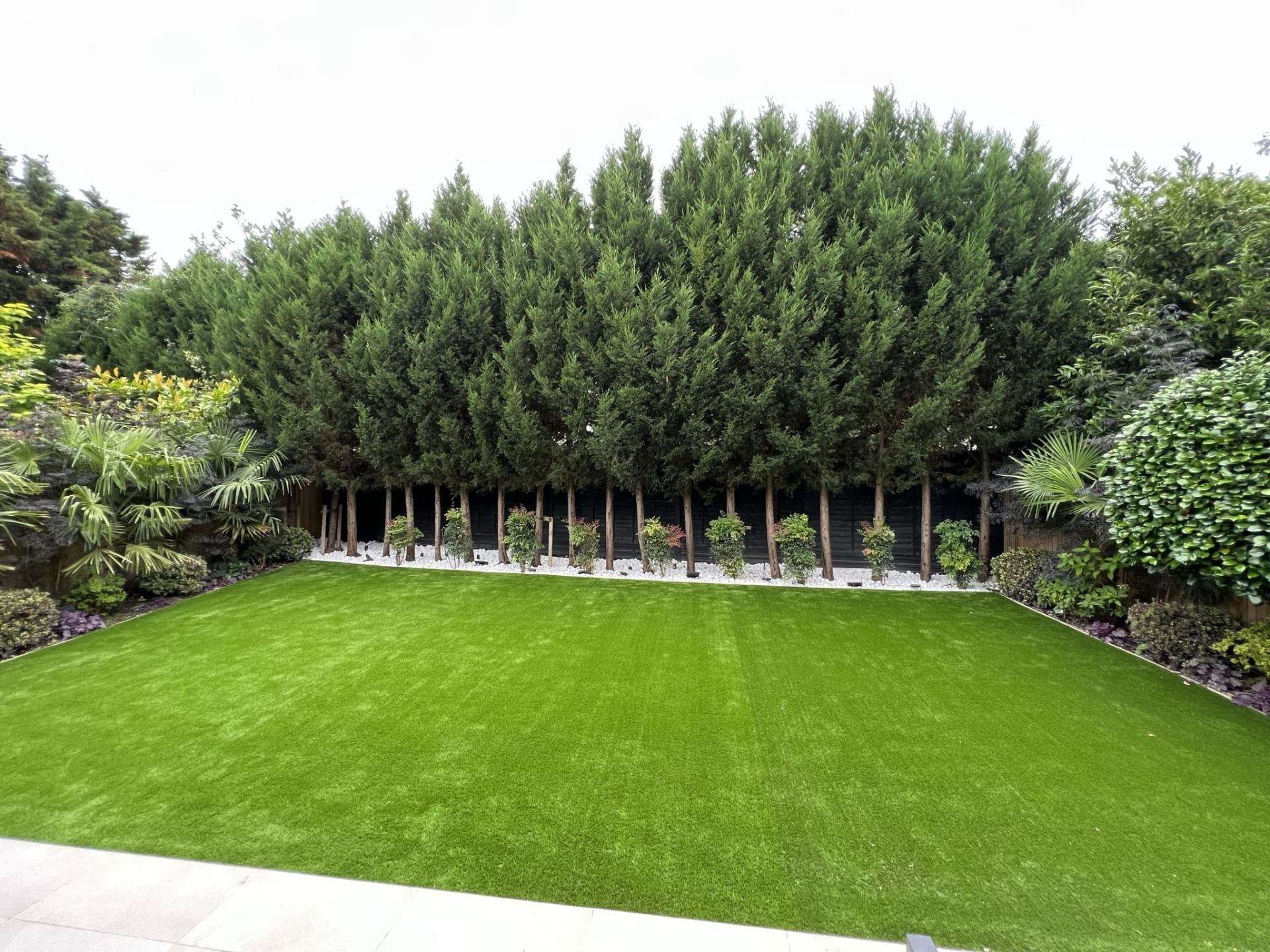 Designer garden in Wimbledon